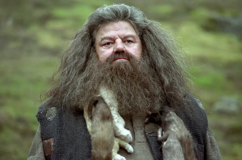 Rubeus Hagrid